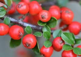 �~�́@�ׂɂ�����