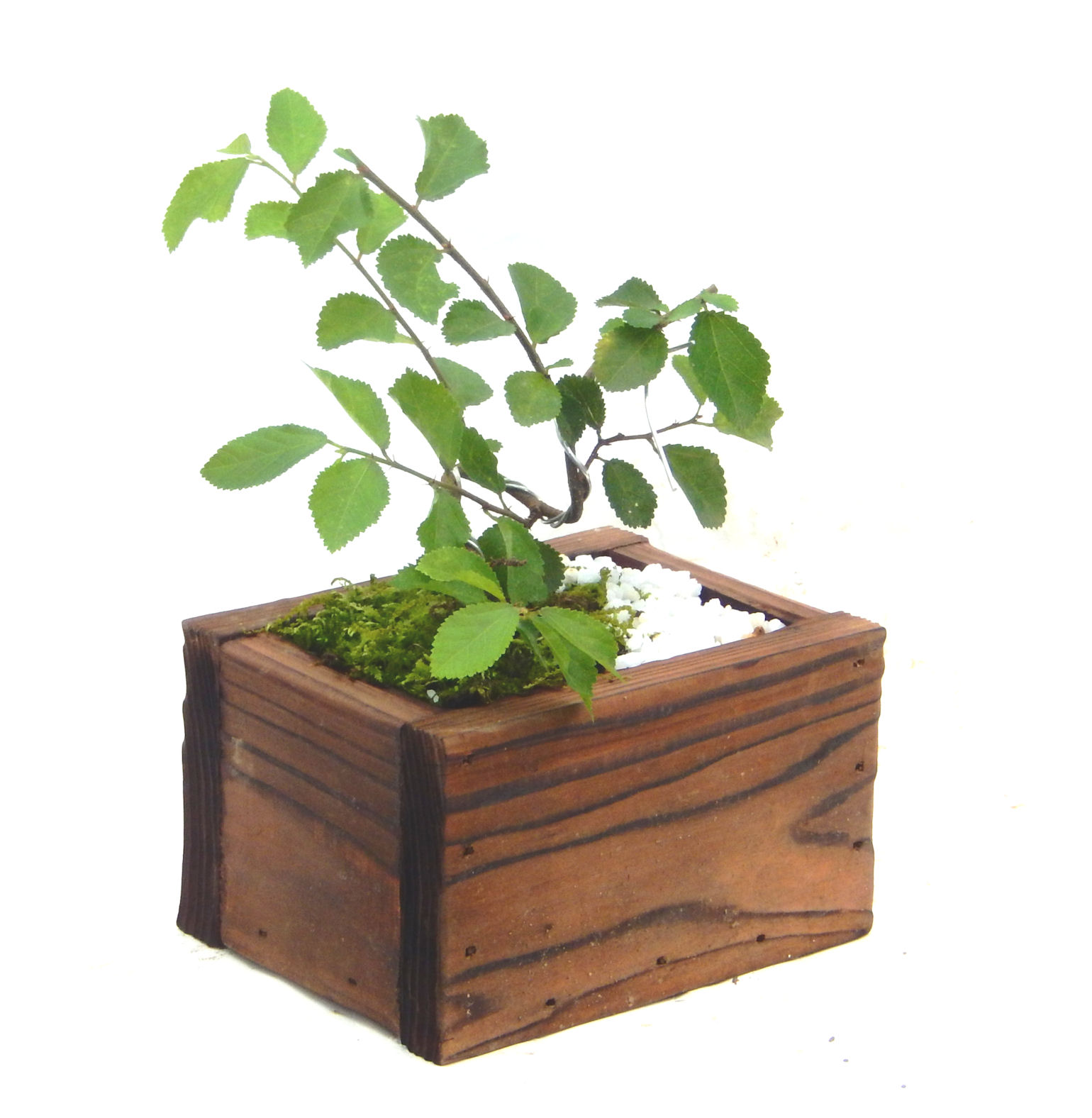 �Q�O�O�Q�N�ȗ��A�N�Ԃ̃x�X�g�Z���[�I�I�I�R���p�N�g�ɉ������܂����B���߂Ă̕��ɂ���Ă₷����v�ȐA���ł��B